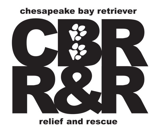 Save a Chessie Today